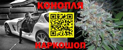 apvp Свободный