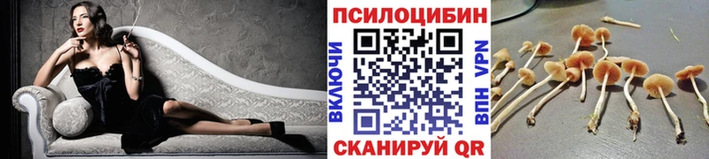 Псилоцибиновые грибы Cubensis  Находка 